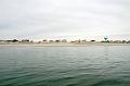 Day181 IMG_2648